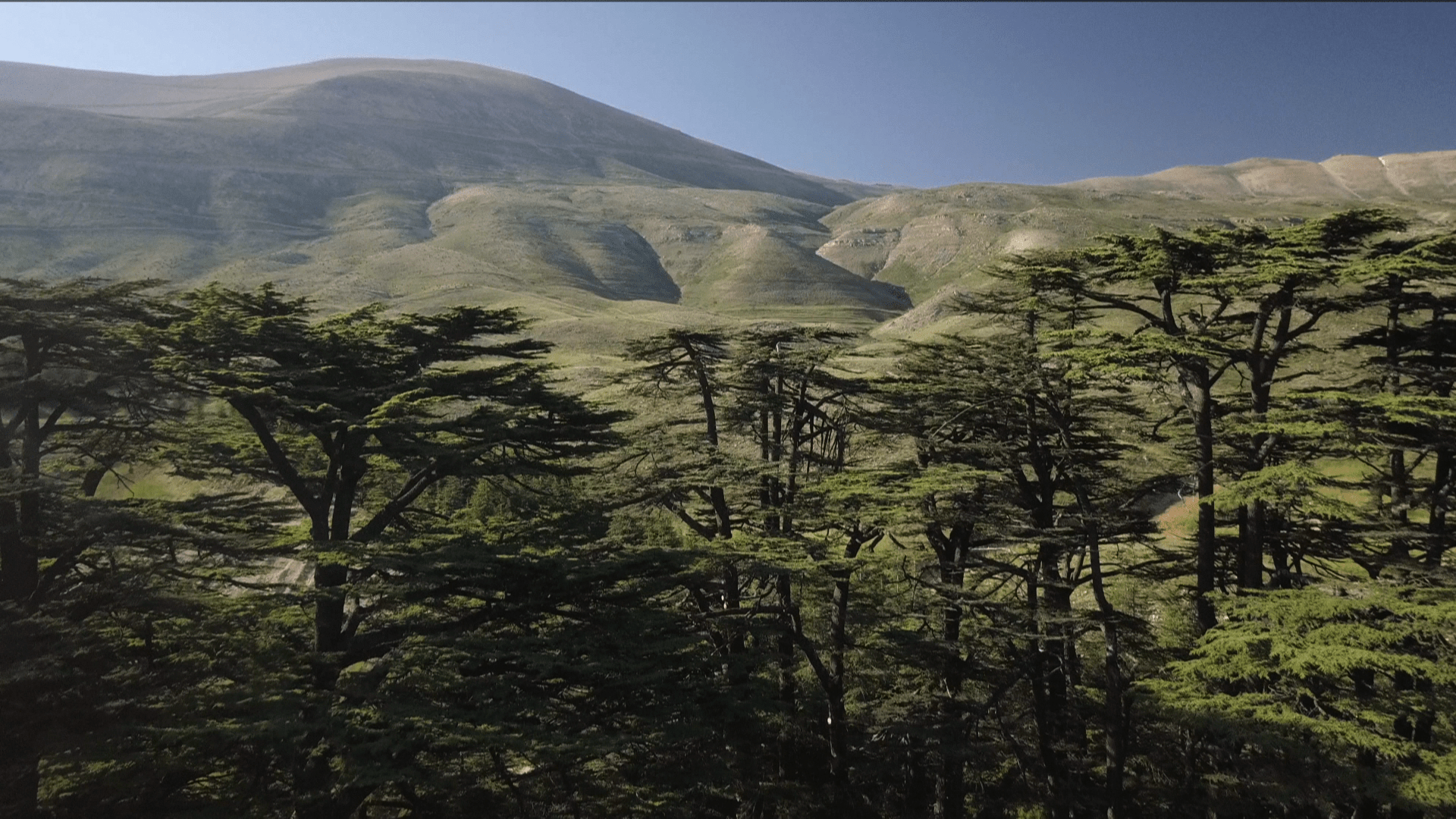 Liban_paysage
