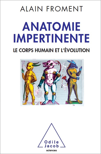 anatomie impertinente